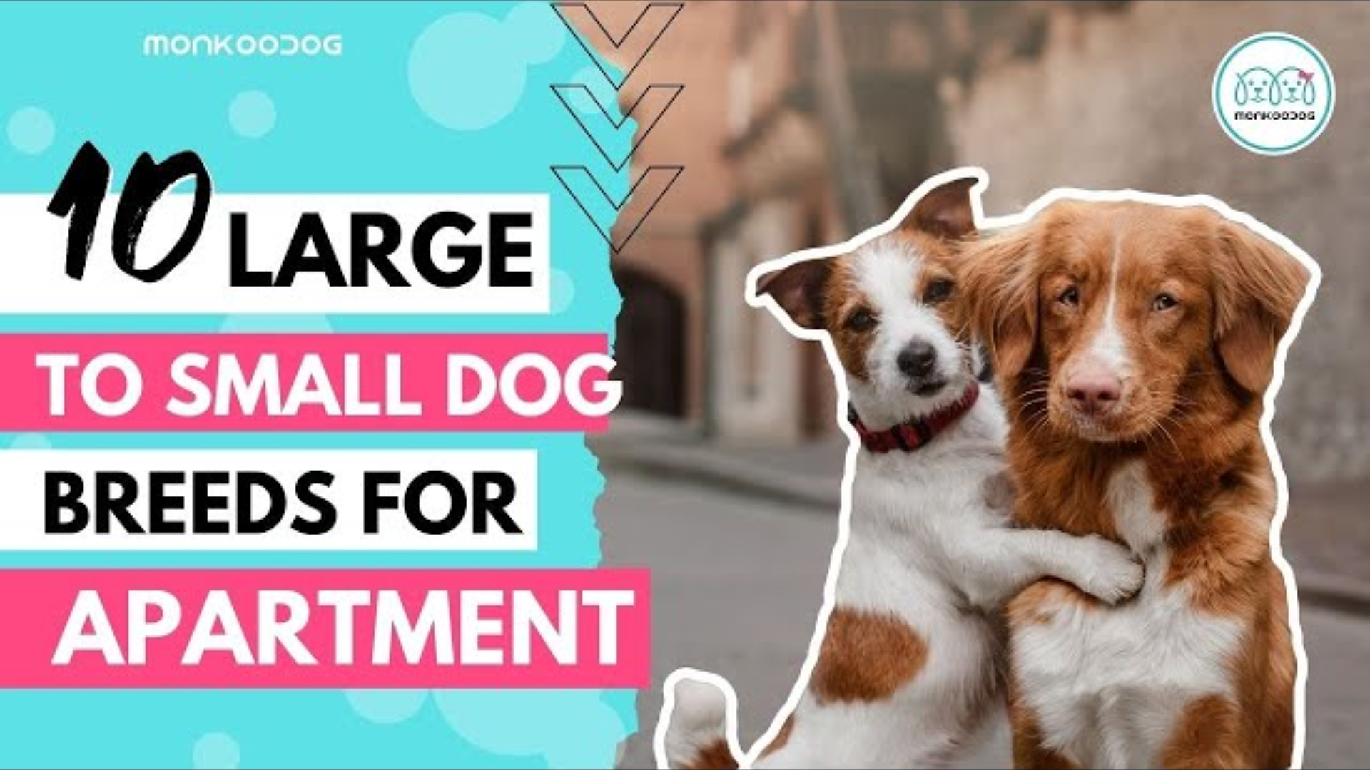 Best Apartment Dogs of 2025