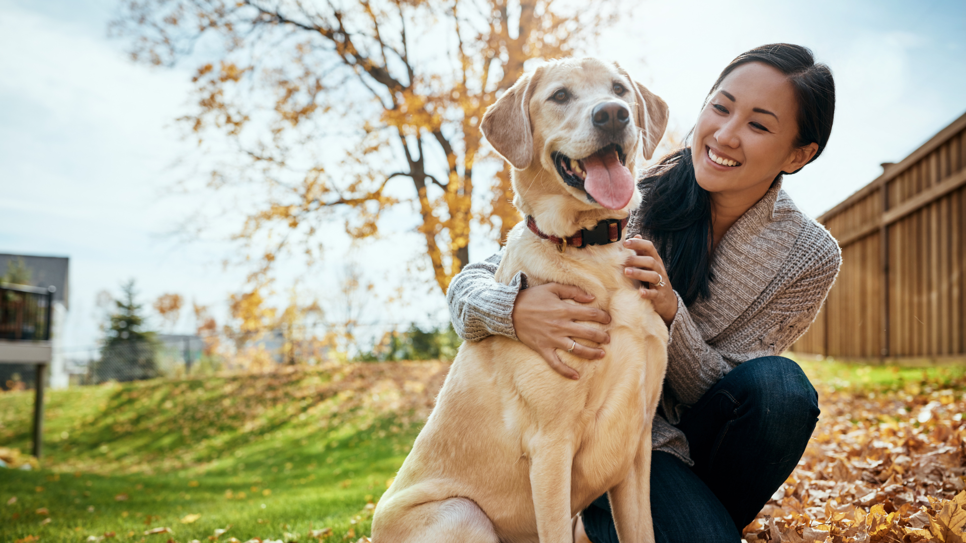 The Ultimate Guide to Sustainable Pet Parenting in 2025