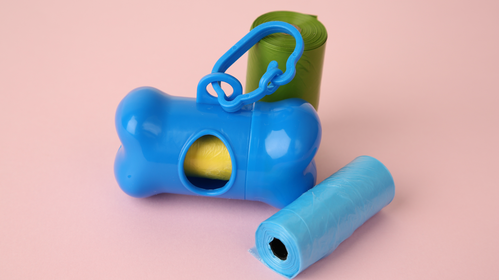 Creative Ways to Recycle Old Pet Products