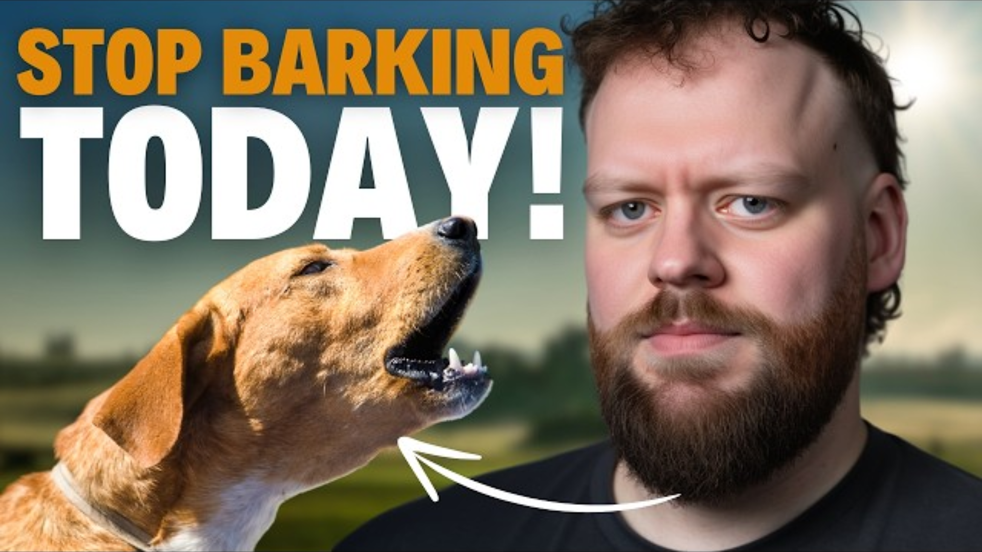 This Dog Wouldn’t Stop Barking, So I Stepped in to Help