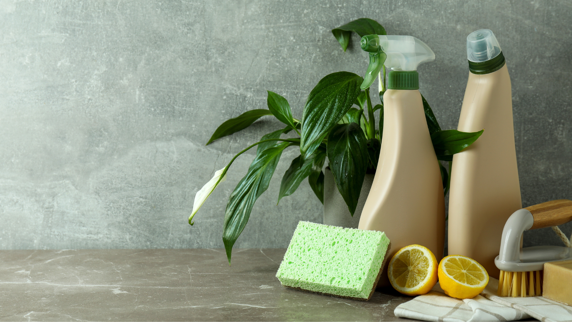 Eco-Friendly Detergents: Making Sustainable Choices