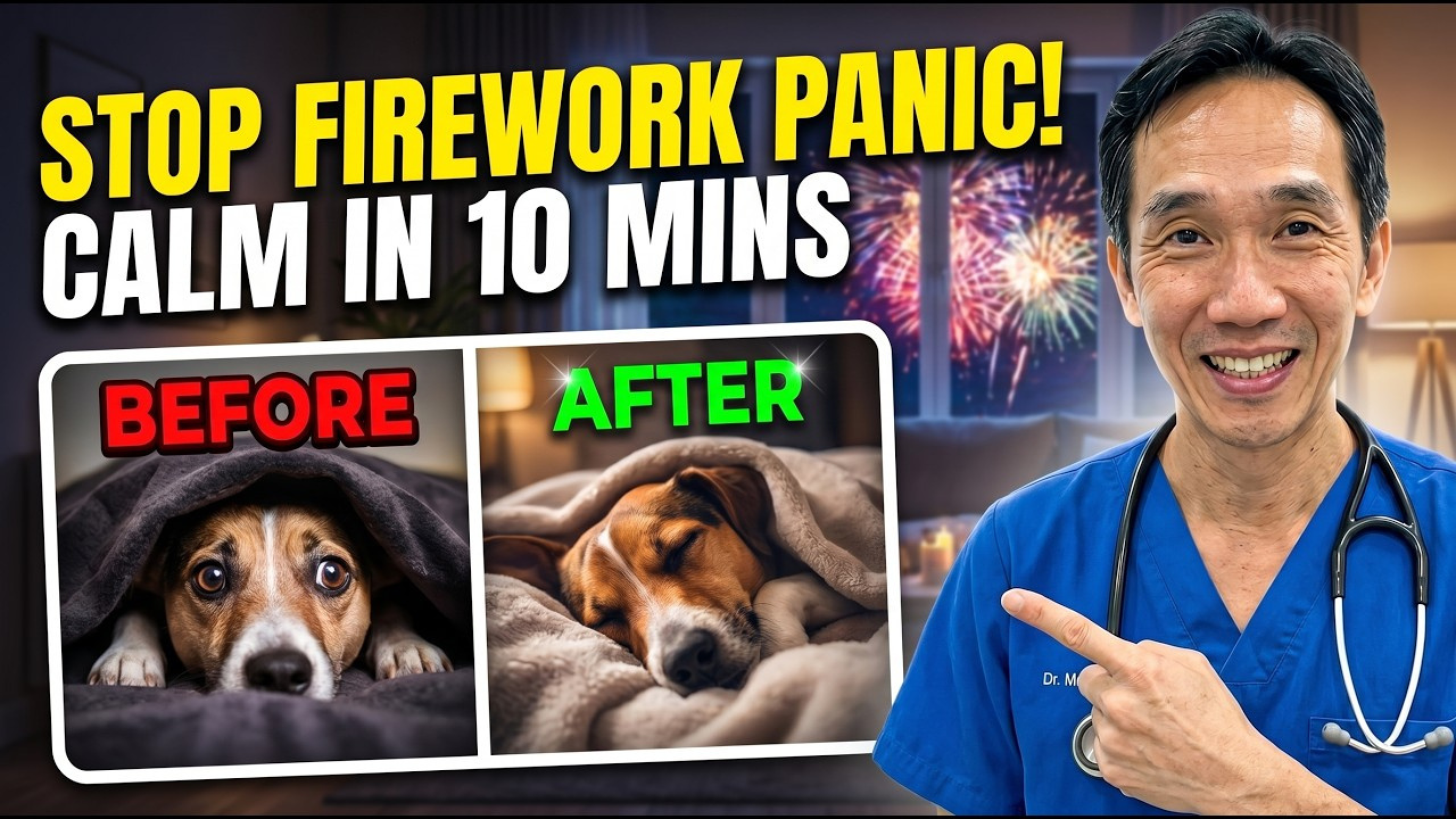 How to Calm Your Dog's Fireworks Anxiety Before It Starts