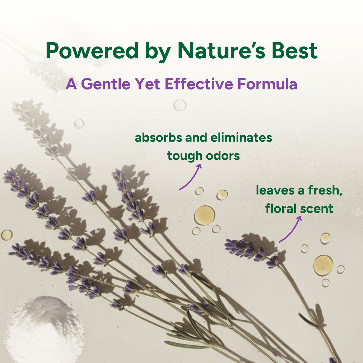 Lavender plant with text about a natural product formula on a light background