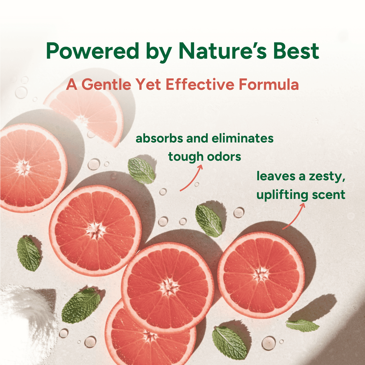 Product packaging with grapefruit slices and mint leaves, labeled 'Powered by Nature's Best'.