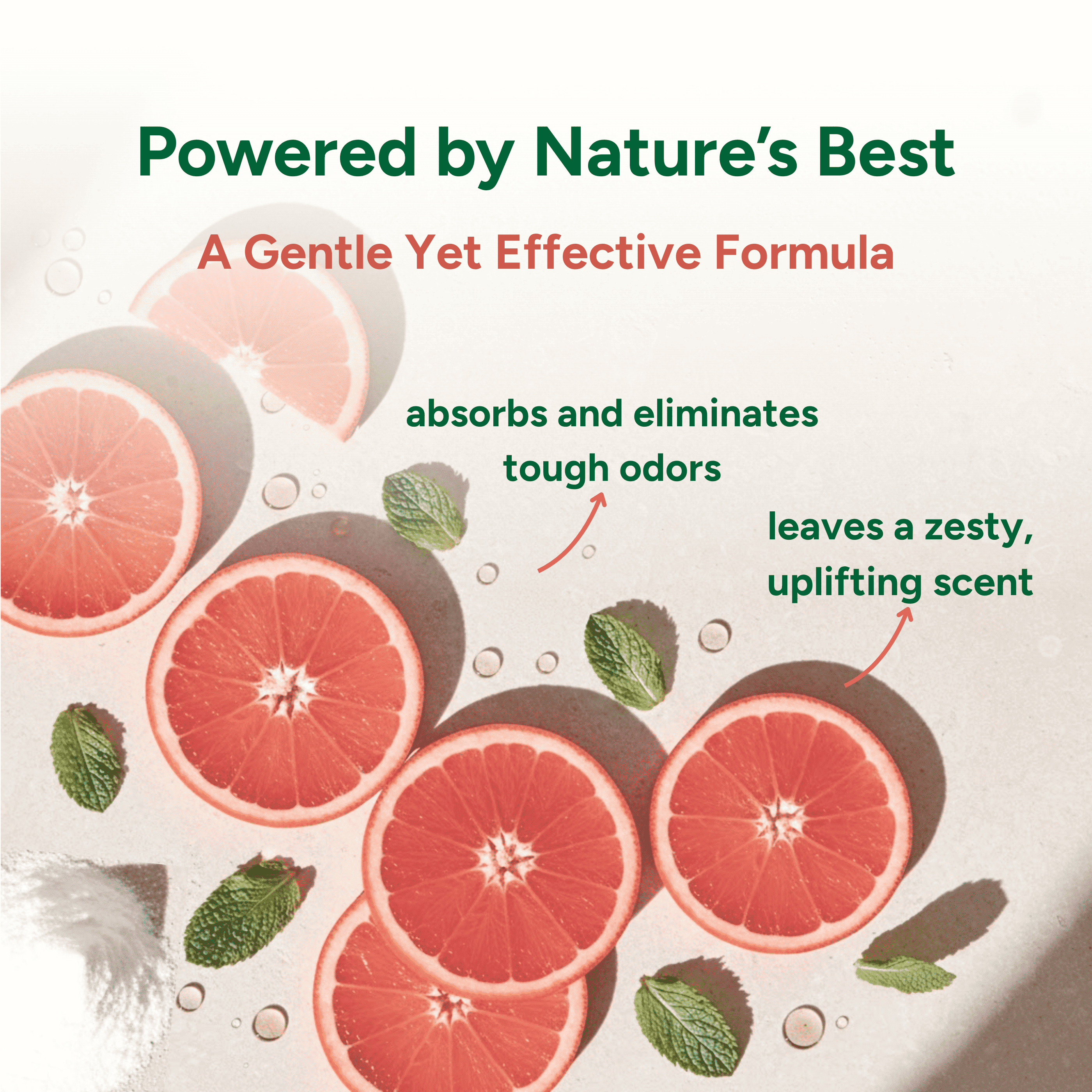 Product packaging with grapefruit slices and mint leaves, labeled 'Powered by Nature's Best'.