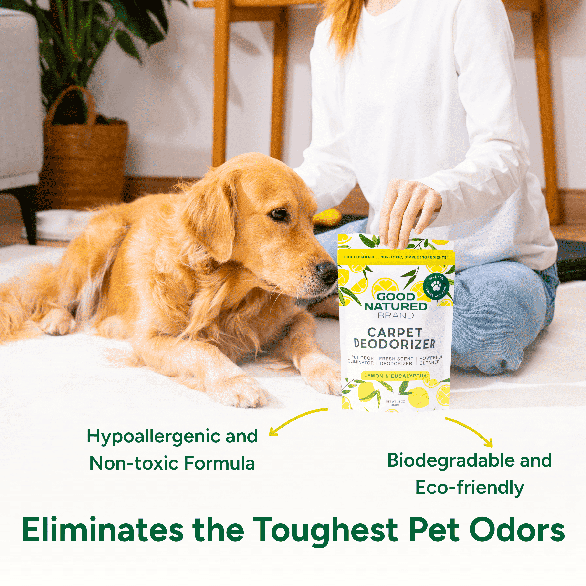 Person holding a Good Natured carpet deodorizer package next to a dog in a living room.