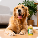 All-Purpose Cleaners