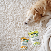 Carpet Deodorizers